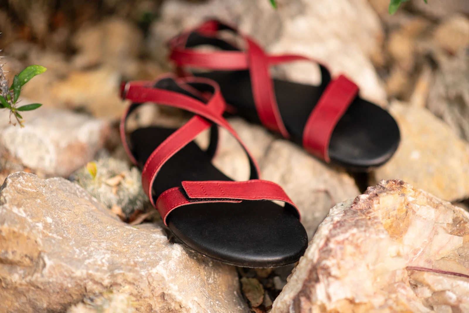 Сандалии Ahinsa Hava Barefoot — бордовый, фото 17